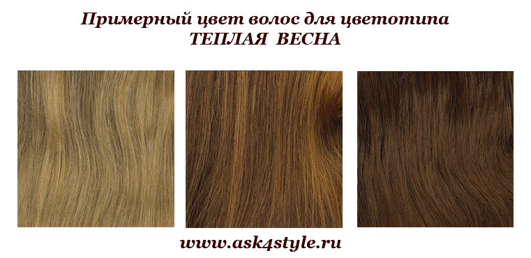 Примерные оттенки волос для цветотипа Теплая весна